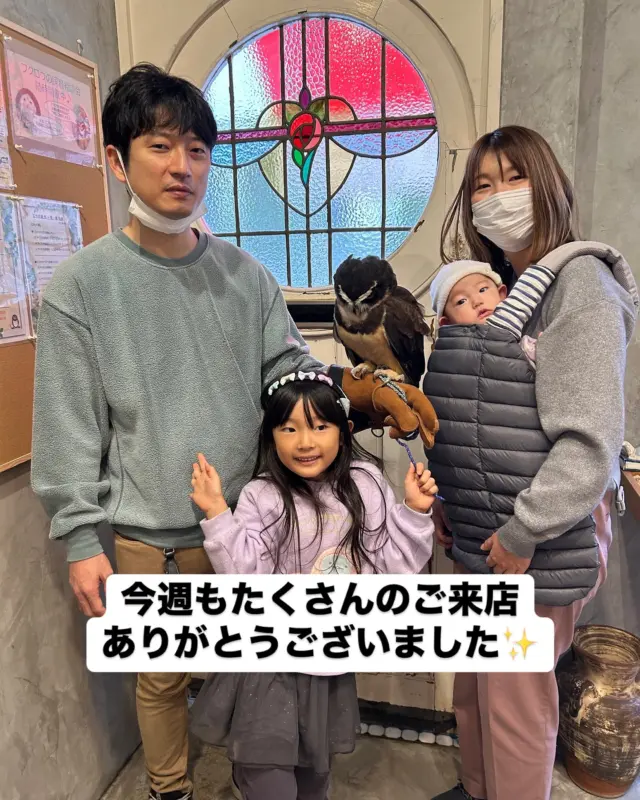 この土日もたくさんのご来店ありがとうございました✨

カップル様、ご家族様、フクロウ同伴
様々な方と出会い、フクロウの魅力を伝えられて幸せです☺️

今後もたくさんの方にフクロウの魅力を伝えられるよう頑張ります♪

＊＊＊＊＊＊＊＊＊＊＊＊＊＊＊＊＊＊＊
【店舗情報】
フクロウギャラリーTOKYO

【アクセス】
東京都江東区三好4-7-30
東京都現代美術館すぐ近く

清澄白河駅から徒歩12分

【営業時間】
13:00〜20:00（最終入場 19:00）
月曜定休（祝日の場合、翌火曜日が定休）

＊＊＊＊＊＊＊＊＊＊＊＊＊＊＊＊＊＊＊

[Store Information] Owl's Gallery TOKYO

[Access] 4-7-30 Miyoshi, Koto-ku, Tokyo Right next to the Tokyo Museum of Contemporary Art
12-minute walk from Kiyosumi-Shirakawa Station

[Business Hours] 1:00 PM - 8:00 PM (Last entry by 7:00 PM) Closed on Mondays (If Monday is a holiday, the gallery will be closed the following Tuesday)

＊＊＊＊＊＊＊＊＊＊＊＊＊＊＊＊＊＊＊
#フクロウカフェ #owlcafe
#東京都現代美術館 #美術館
#フクロウ　#フクロウのいる生活
#フクロウ好きと繋がりたい
#フクロウギャラリーTOKYO
#フクロウギャラリー
#猛禽類 #鷹 #タカ
#江東区　#清澄白河　#隠れ家　#カフェ
#東京 #tokyo #観光
#tokyotravel #museumofcontemporaryart