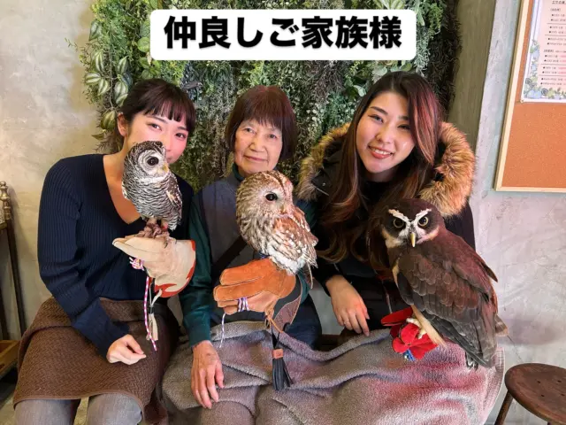本日もたくさんのご来店ありがとうございました✨
ご予約でお越しの仲良しご家族様☺️
初めてのフクロウカフェ、楽しんでいただけて良かったです✨

ぜひまたお越しください♪

＊＊＊＊＊＊＊＊＊＊＊＊＊＊＊＊＊＊＊
【店舗情報】
フクロウギャラリーTOKYO

【アクセス】
東京都江東区三好4-7-30
東京都現代美術館すぐ近く

清澄白河駅から徒歩12分

【営業時間】
13:00〜20:00（最終入場 19:00）
月曜定休（祝日の場合、翌火曜日が定休）

＊＊＊＊＊＊＊＊＊＊＊＊＊＊＊＊＊＊＊

[Store Information] Owl's Gallery TOKYO

[Access] 4-7-30 Miyoshi, Koto-ku, Tokyo Right next to the Tokyo Museum of Contemporary Art
12-minute walk from Kiyosumi-Shirakawa Station

[Business Hours] 1:00 PM - 8:00 PM (Last entry by 7:00 PM) Closed on Mondays (If Monday is a holiday, the gallery will be closed the following Tuesday)

＊＊＊＊＊＊＊＊＊＊＊＊＊＊＊＊＊＊＊
#フクロウカフェ #owlcafe
#東京都現代美術館 #美術館
#フクロウ　#フクロウのいる生活
#フクロウ好きと繋がりたい
#フクロウギャラリーTOKYO
#フクロウギャラリー
#猛禽類 #鷹 #タカ
#江東区　#清澄白河　#隠れ家　#カフェ
#東京 #tokyo #観光
#tokyotravel #museumofcontemporaryart